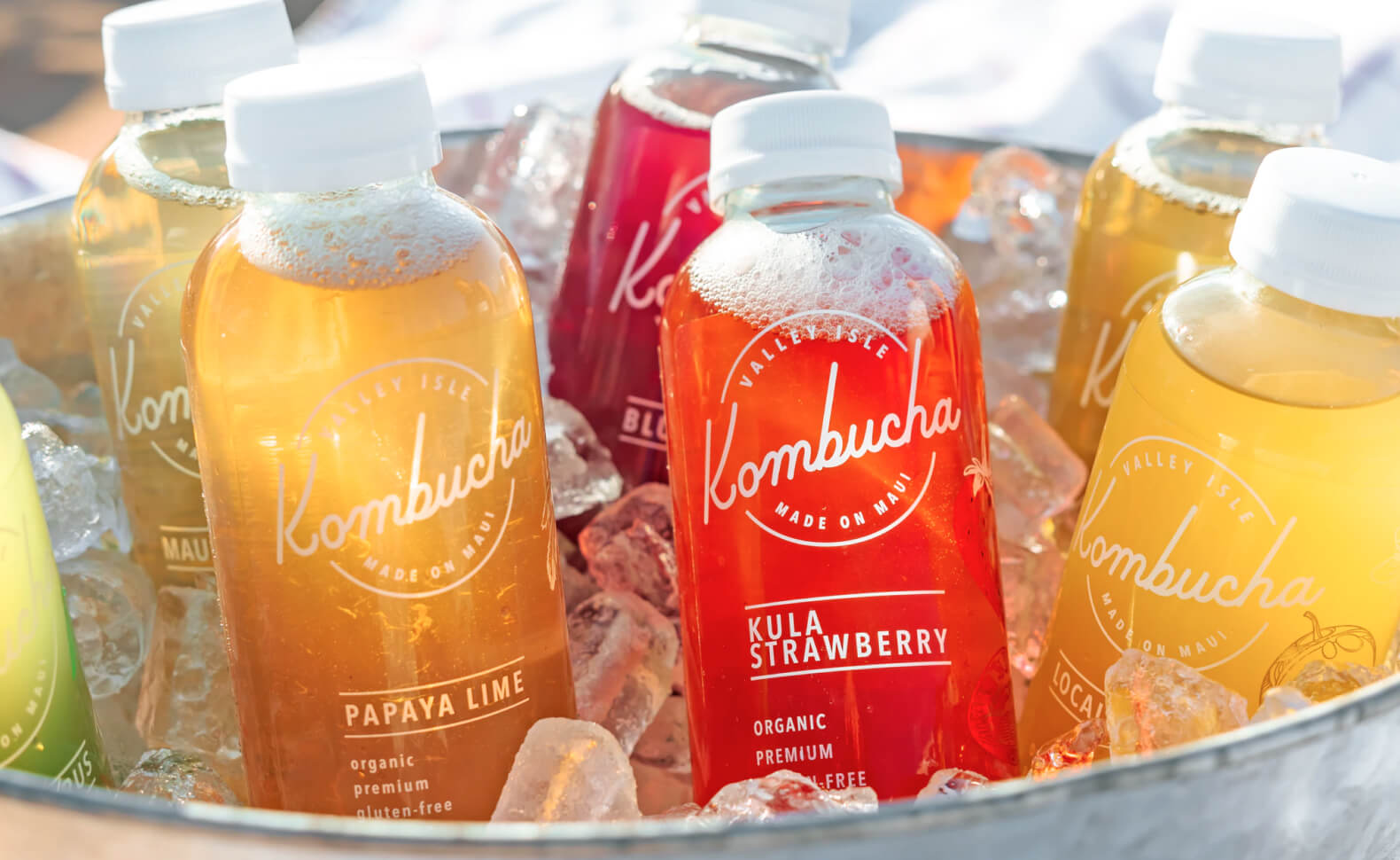 Rich Text - Saaslify Template