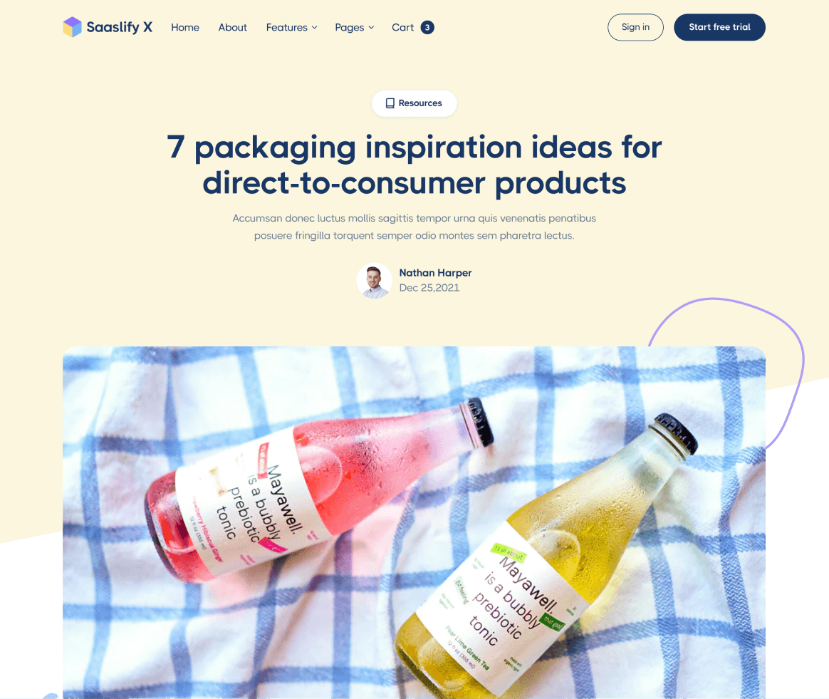 Saaslify - Blog Post page - Modern SaaS Template